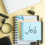 Job Seeker Support